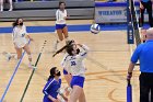 Volleyball vs RWU  Wheaton Women’s Volleyball vs Roger Williams University. : Volleyball, VB